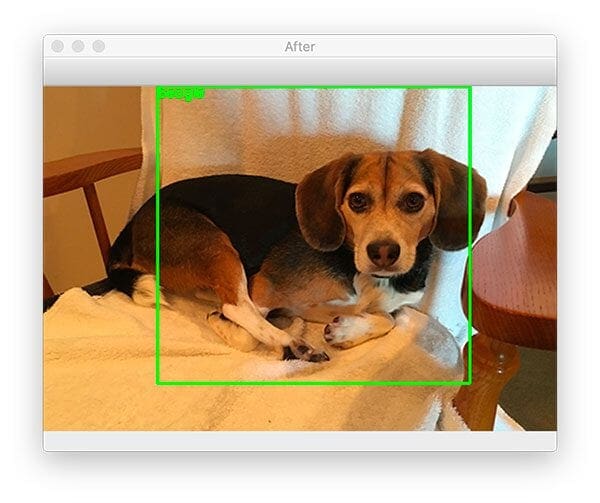 Region proposal object detection with OpenCV, Keras, and TensorFlow ...