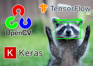 R-CNN object detection with Keras, TensorFlow, and Deep Learning