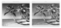 OpenCV Histogram Equalization and Adaptive Histogram Equalization ...