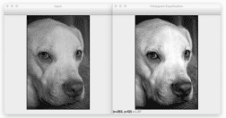 OpenCV Histogram Equalization and Adaptive Histogram Equalization ...