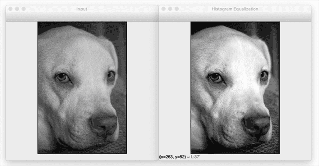 OpenCV Histogram Equalization and Adaptive Histogram Equalization ...