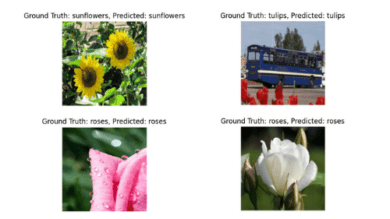 PyTorch: Transfer Learning and Image Classification - PyImageSearch