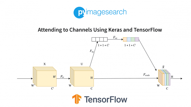 Attending to Channels Using Keras and TensorFlow - PyImageSearch