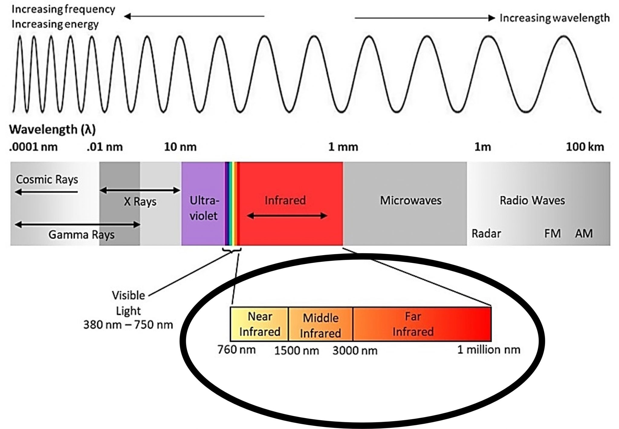 Introduction to Infrared Vision: Near vs. Mid-Far Infrared Images ...