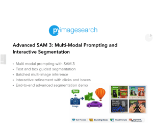 SAM 3: Concept-Based Visual Understanding and Segmentation - PyImageSearch